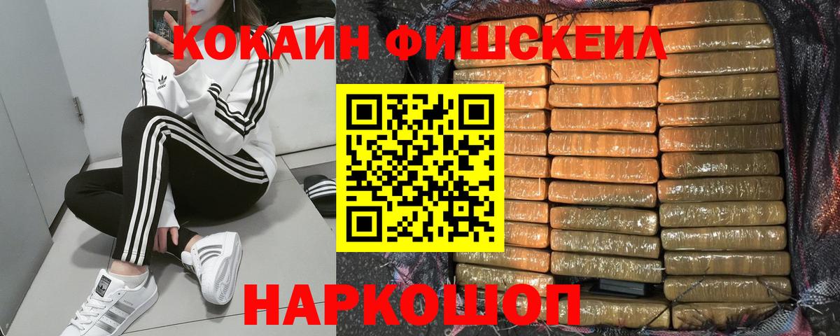 ГАШ Новомосковск