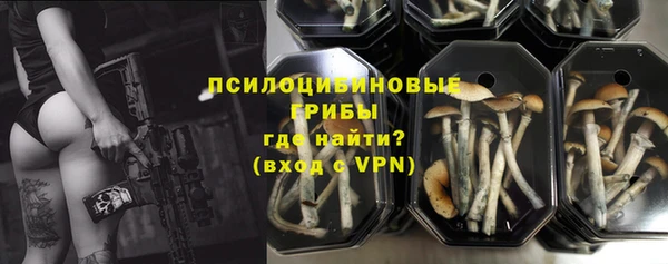 a pvp Богородицк