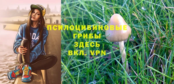 a pvp Богородицк